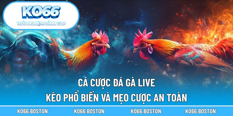 Cá cược đá gà live