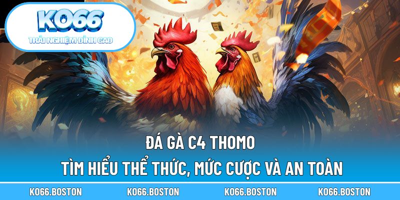 Đá gà C4 Thomo