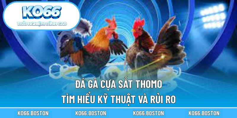 Đá Gà Cựa Sắt Thomo