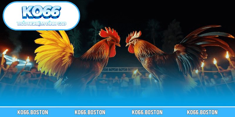 Tìm hiểu xuất xứ Thomo và nguyên nhân được  yêu thích