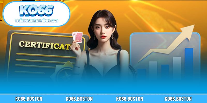 Tổng quan về miễn trừ trách nhiệm KO66