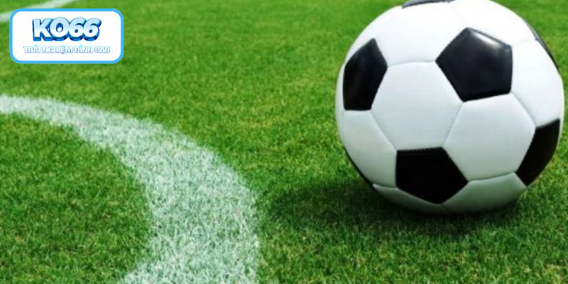 Kèo Chấp 0.5 Là Sao - Bí Quyết Soi Cầu Luôn Thắng