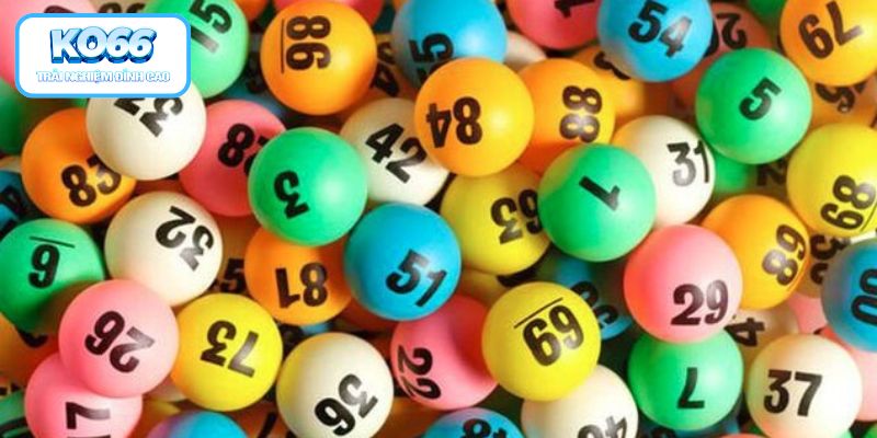 Nuôi Đề Khung 5 Ngày - Kỹ Thuật Đầu Tư Hiệu Quả Nhất 2026